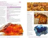 Kolekcja bursztynów, kamieni szlachetnych, w różnych odcieniach. Ten katalog kamieni szlachetnych prezentuje piękno bursztynu.