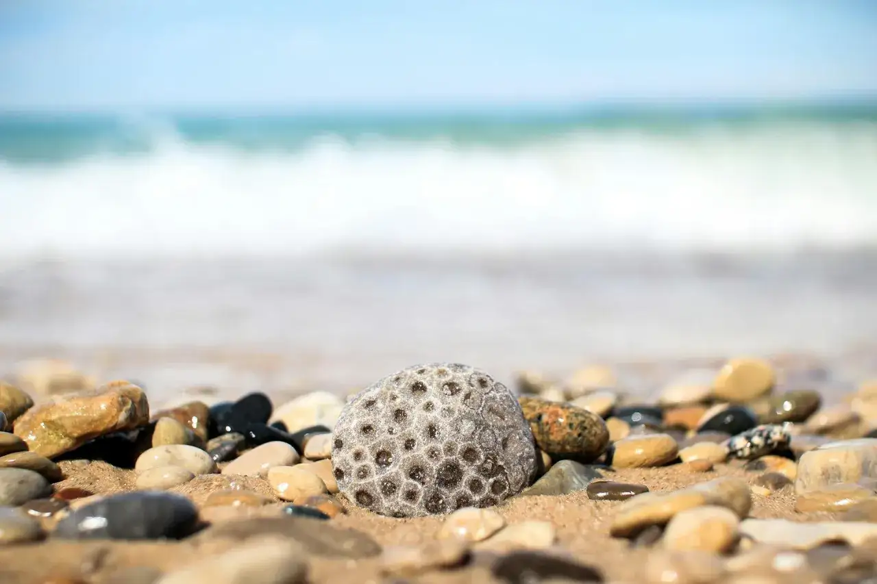 Na plaży leżą mokre kamienie, minerały i skały. W tle widać falujące morze.
